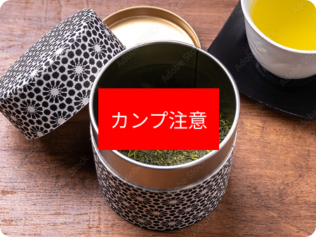 治療オプション詳細